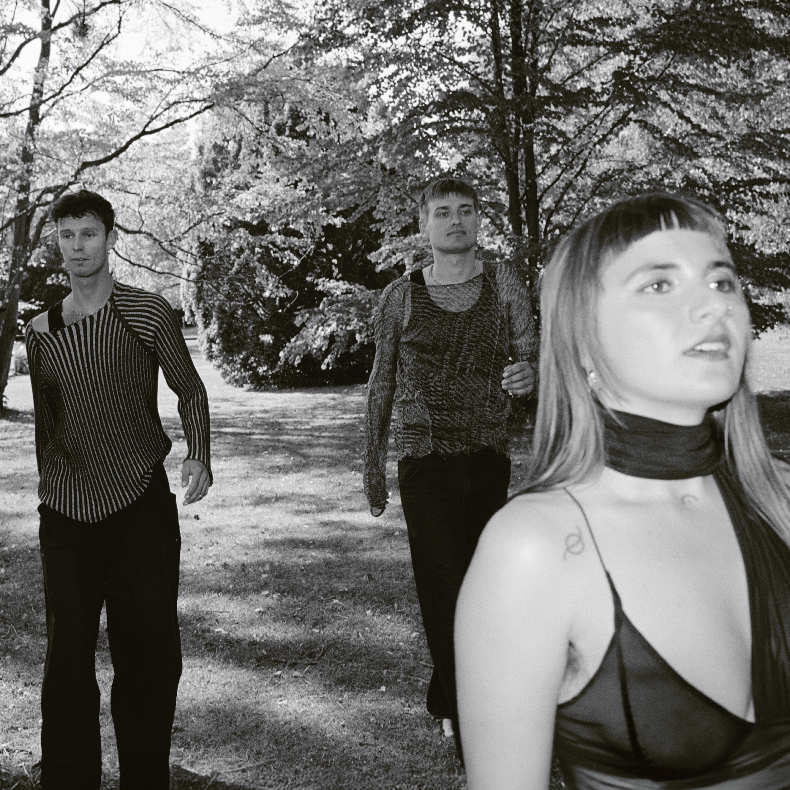 Link zum Album der Woche